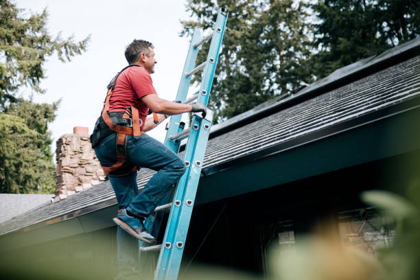 Best Roof Maintenance and Cleaning  in Great Falls, SC